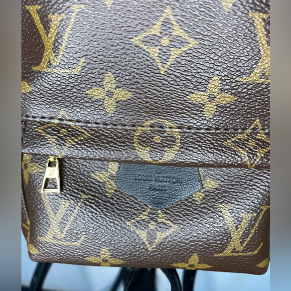 Louis Vuitton Palms Springs mini - Picture 2 of 15